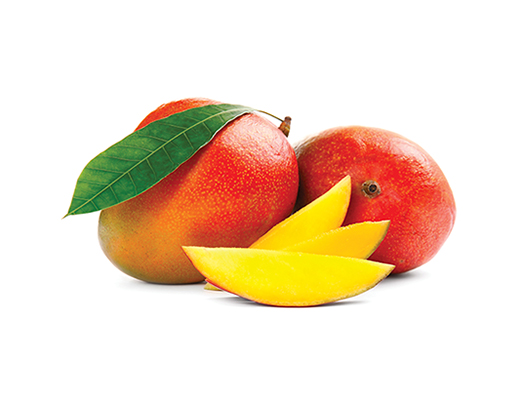 MANGO - Immagine 01