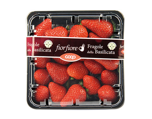 FRAGOLE DELLA BASILICATA FIOR FIORE COOP - Immagine 01