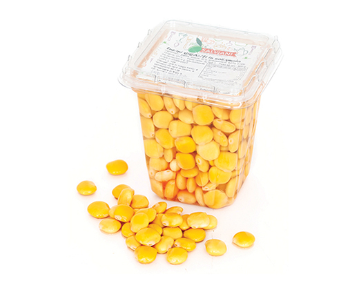 LUPINI GIGANTI IN SALAMOIA SALVIANI - Immagine 01
