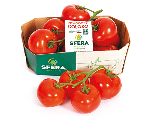 POMODORO CILIEGIA A GRAPPOLO SFERA AGRICOLA - Immagine 01