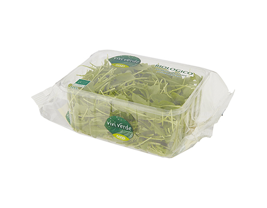 RUCOLA BIO VIVI VERDE COOP - Immagine 01